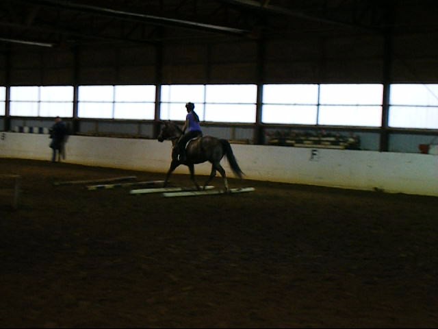 Galop, barre, diagonale. Moi et Shelby encore à notre examm ce samediii!!! =D ça c'était...