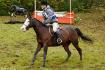 encore lady et moi dans le cross photo par...