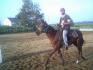 Moi et Dusty