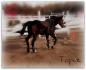 Mon namours (L)(L)