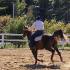 mon beau zouky lol