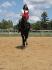 Shetan poulain 2 ans et demi 16 main