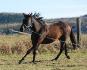 Voici...Magic Lulu..... !!! Tout simplement Magnifique !!!
