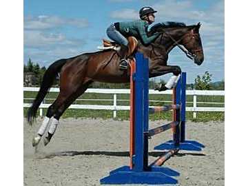 Miss au saut