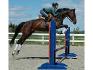 Miss au saut