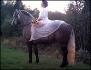 Photo 2005 de moi et Silver. :)