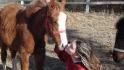 L'amour reigne entre le cheval et son maître