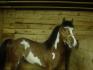 bodey sexey hin jess :P encore Toupet! :)