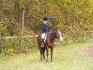 moi et laidy foxe a napierville