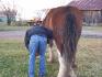 Dan et Dan qui se montre le ........IoIIIII comme...