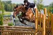 International Bromont- Elliot