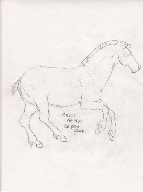 un p'tit dessin que j'ai fait XD