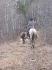 Ma cotch Louisa sur ma doudoune Bella et Furry en...