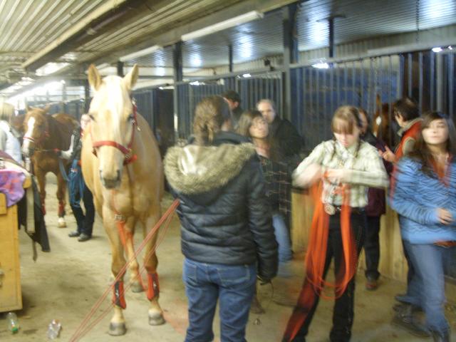 TOUTE LE MONDE DANS L'éCURIE C LE CAVALIER 4