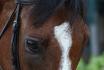 Ma grosse face de pet en concours :-)