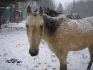 mon bo gazoo sous la belle neige!!!xxx