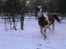 Au galop ! 