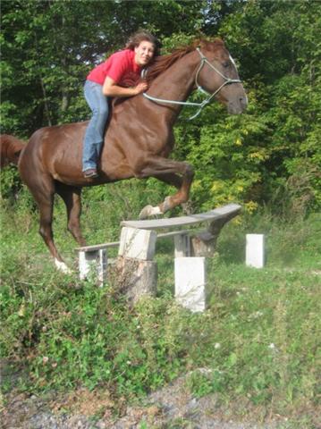 Licou. Saut .. Super fit hein .. Botte de cowboy, licou parelli .....