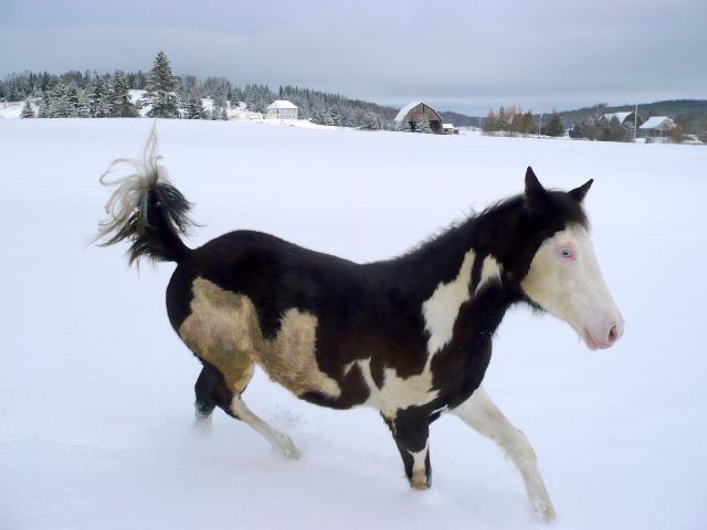 Youpi de la neige et des amis !!!!
