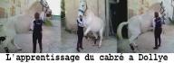 Dollye & son cabré légendaire xD :P