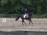 cavalier de dressage au galop
