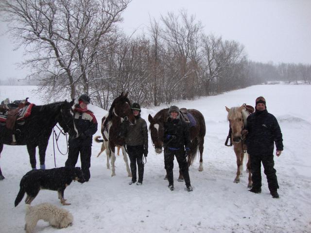 Écurie Toupin.Morency.Le plaisir des joies de l'hiver