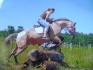 moi et ma jument lightning