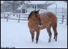 Mon amour, toujours en train de manger de la neige hein!