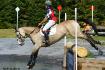 Une cavalier et son cheval sur un contre-bas en...