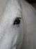Lola :) J'adooooore cette photo