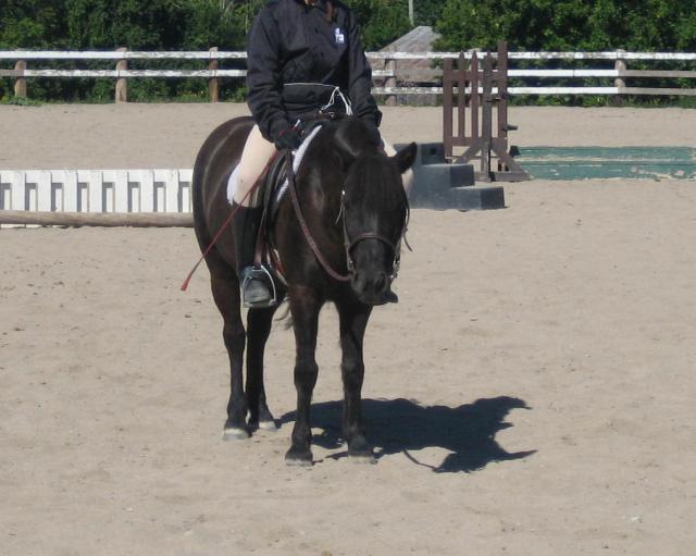 Poly et Moi en 2007 je crois