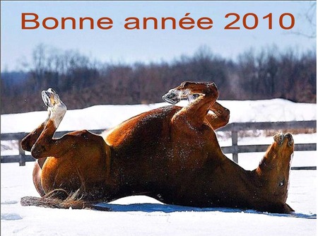 bonne anner 2010