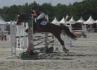 Moi et la jument de ma soeur, Lamotte Beuvron 2006