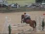 Mon ancien poney d'amouur