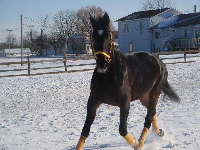 J'aime trop sa babine de neige lol Je l'aime ma doudoune
