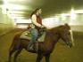 Copine et Moi au Galop (30 janv. 10) a l'&eacute;cole d'&eacute;quitation 1101