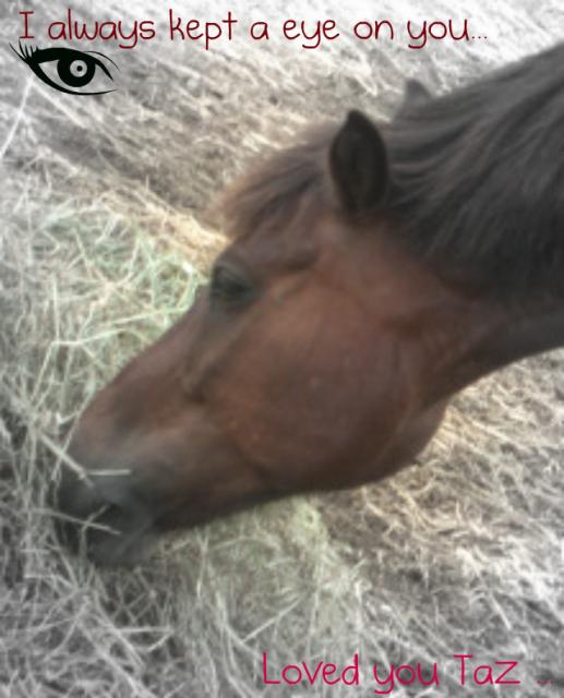 montage que j'ai fait =)