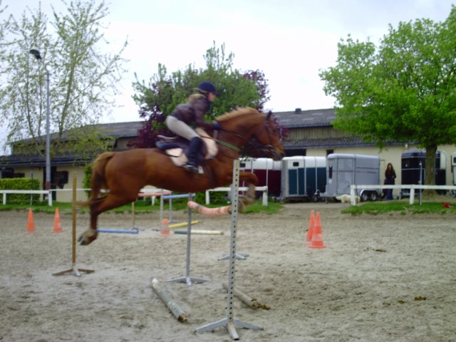 cheval alezan survolant l'obstacle