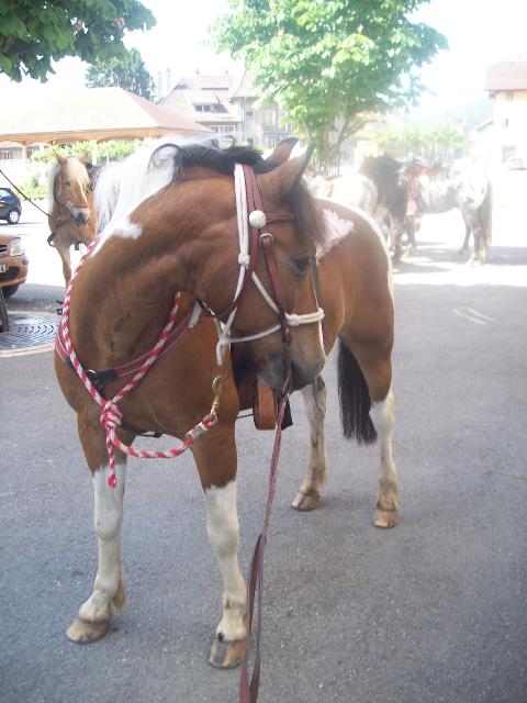 Far-west le papi avec 17 ans mais faut pas s'y fier c'est le...