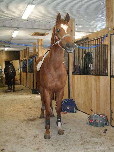 Il prend la pose hein? xD
