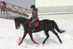 Dia Paular Céleste et moi, une Standardbred aux Écuries Diabolo.