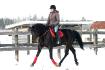 Dia Paular Céleste et moi, une Standardbred aux Écuries Diabolo.