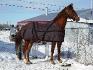 mon cheval 