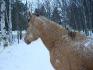 encore de la neige pour ce rouler 