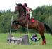 Saut en cross