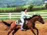 a notre gymkhana..fredoune et checksy royal king