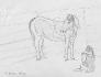 Un dessin de ma dernieree photo :)  Jai vrm de la...