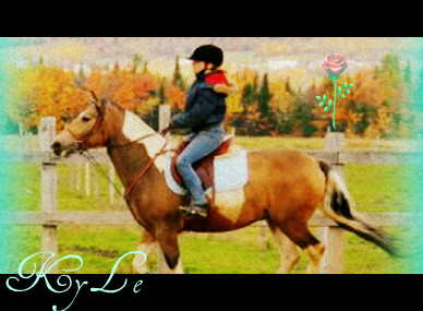 Kyle :)