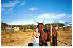 Un fille et un cheval brun près de la bordure...