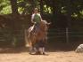 Claude et Wedekind en clinique de dressage . Ici...